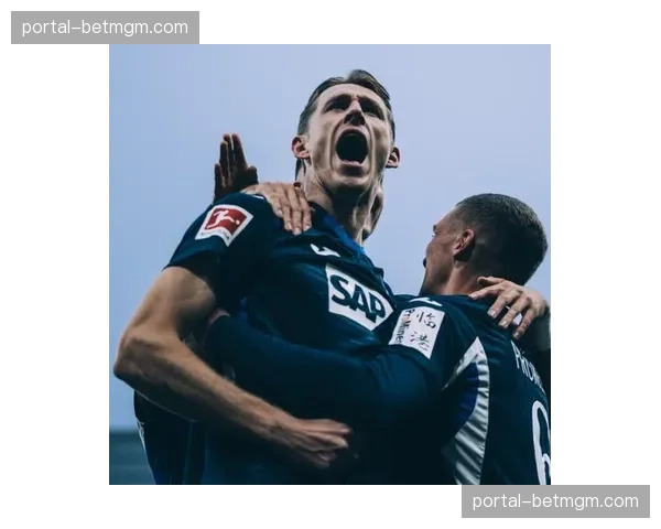 官方确认：霍芬海姆球员因暴力行为被直接出示红牌罚下